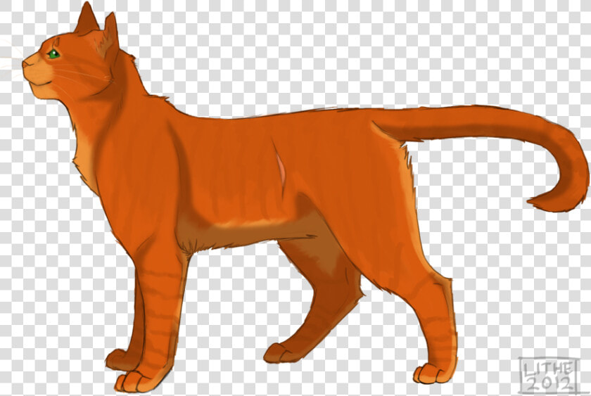 Fireheart Warrior Cats Png  Transparent PngTransparent PNG