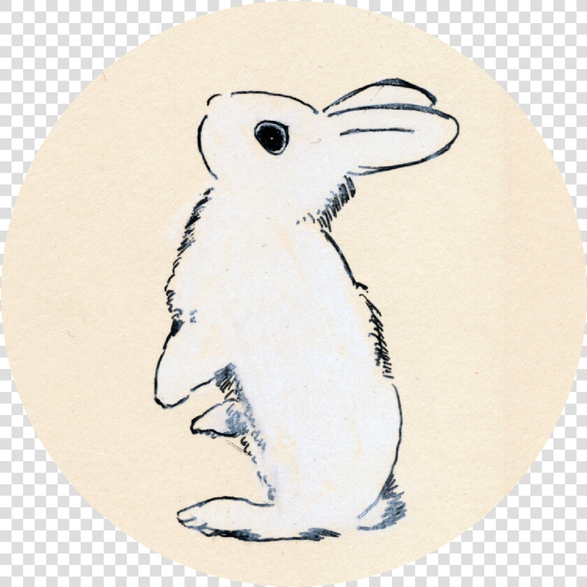 Initial Pen And Chalk Drawing   Cartoon  HD Png DownloadTransparent PNG