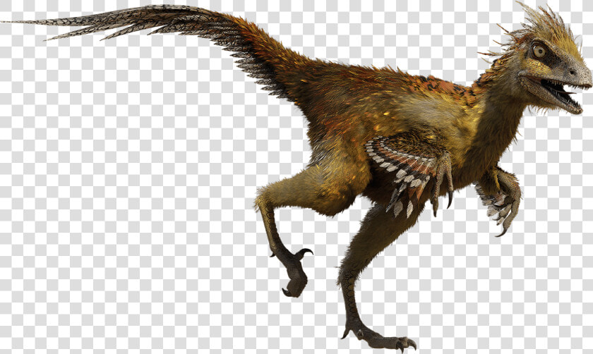 Thumb Image   Color Is The Troodon  HD Png DownloadTransparent PNG