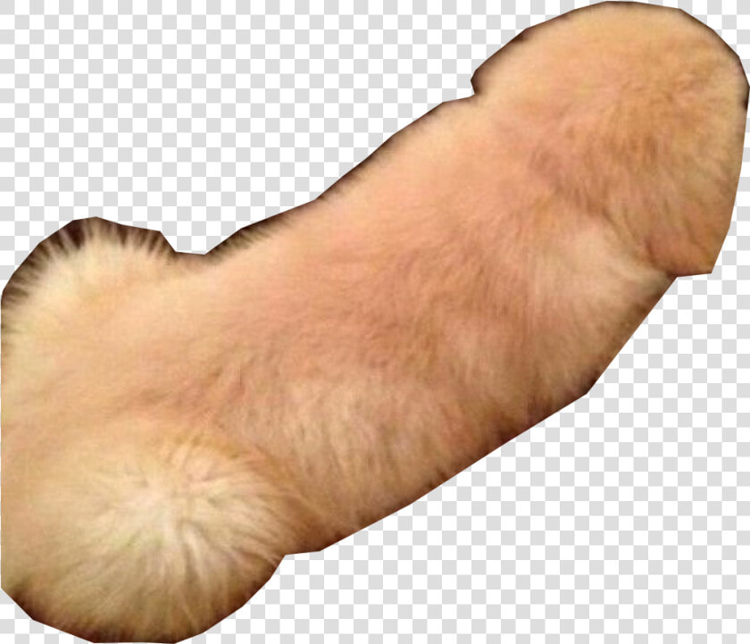 Dachshund Snapchat Snap Inc   Snapchat Dog Filter Transparent Background  HD Png DownloadTransparent PNG