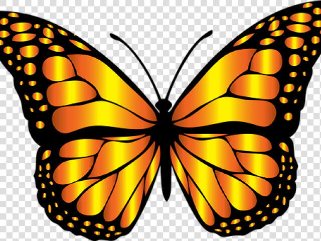 Monarch Butterfly Clipart Png Full Hd   Redbubble Butterfly Sticker  Transparent PngTransparent PNG