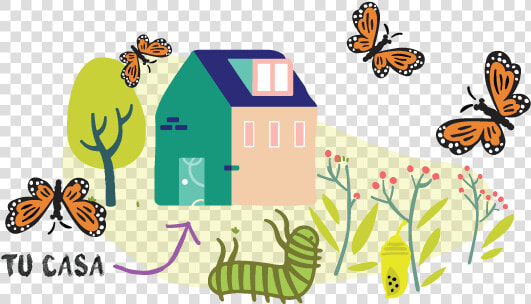 Mariposa uno   Illustration  HD Png DownloadTransparent PNG