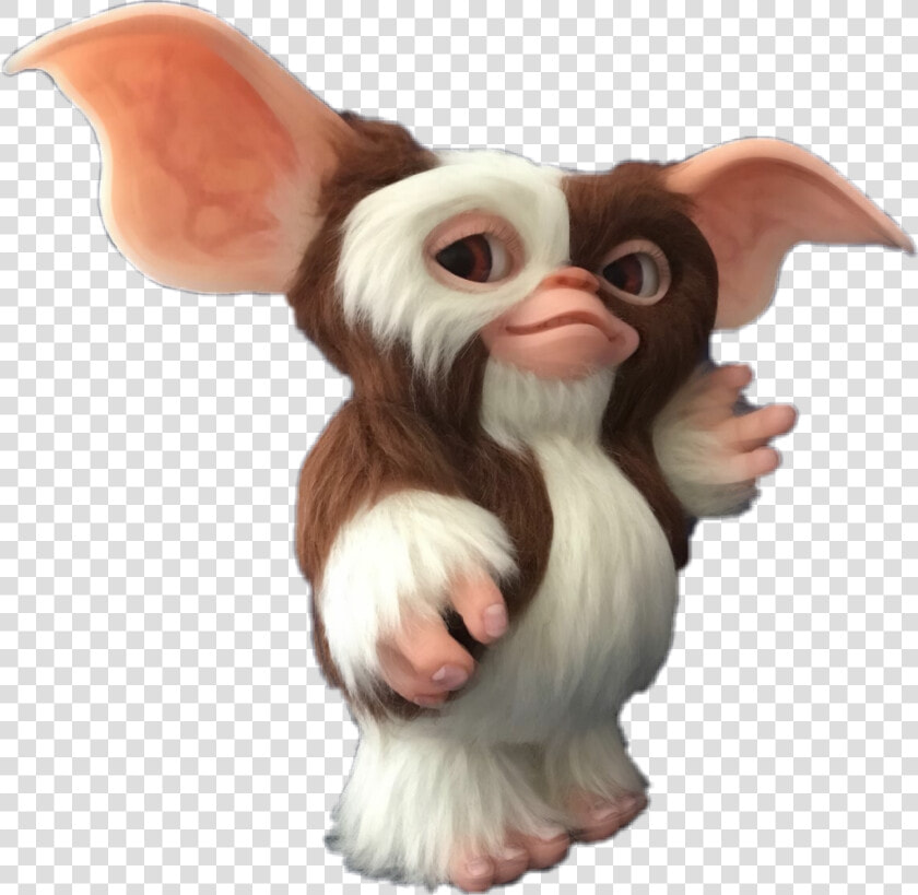 Transparent Gizmo Png   Mogwai Gizmo Png  Png DownloadTransparent PNG
