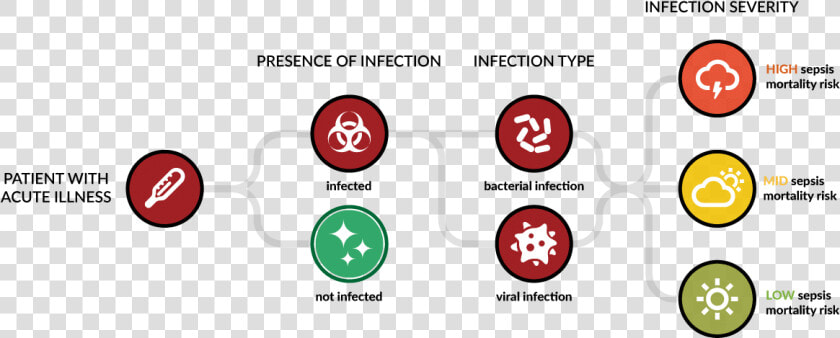 Hostdx Sepsis Diagnostic Tree   Circle  HD Png DownloadTransparent PNG