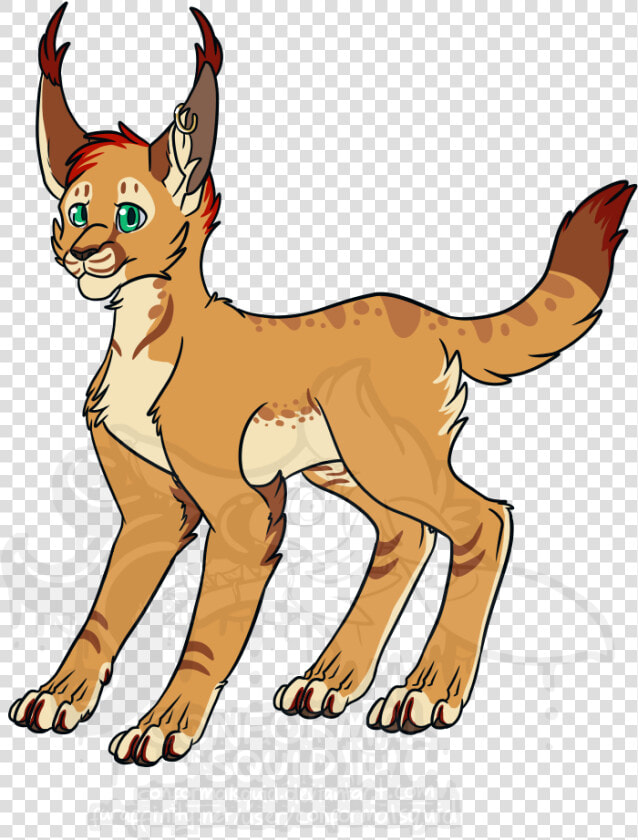 Transparent Caracal Png   Transparent Caracal  Png DownloadTransparent PNG