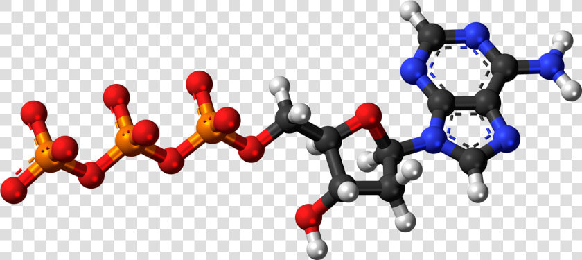 Deoxyadenosine Triphosphate Anion 3d Balls   Adenosine Triphosphate 3d Model  HD Png DownloadTransparent PNG