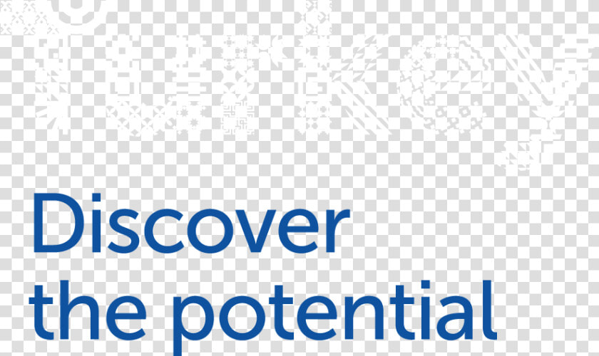 Bunker Hill Community College  HD Png DownloadTransparent PNG