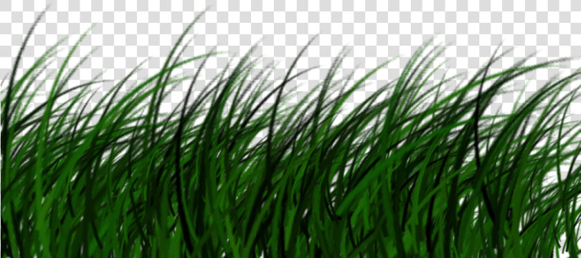 Free Download High Quality Grass Png Transparent Image   Portable Network Graphics  Png DownloadTransparent PNG