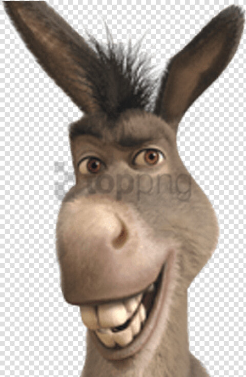 Free Png Donkey From Shrek Smiling Png Image With Transparent   Donkey From Shrek Face  Png DownloadTransparent PNG