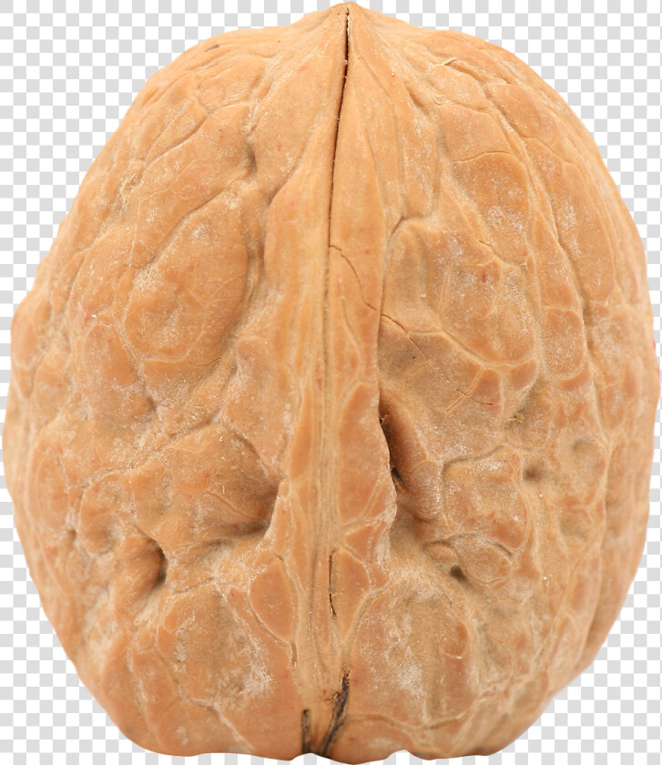 Walnut Png   Single Walnut Png  Transparent PngTransparent PNG