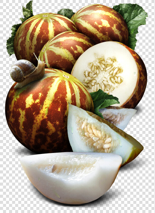 Tigger Melon Seeds For Planting Class Lazyload Lazyload   Natural Foods  HD Png DownloadTransparent PNG