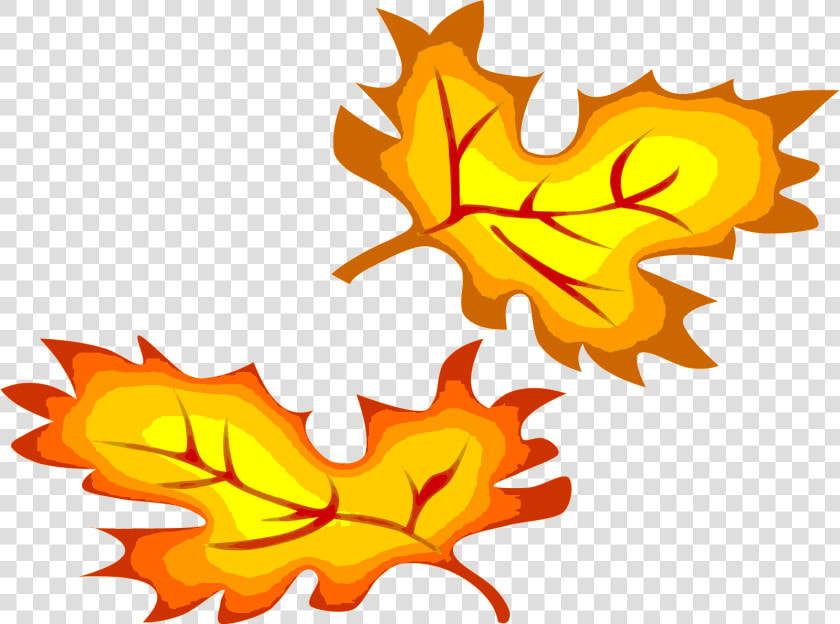 New Creation United Church Of Christ   Fall Leaves Clip Art  HD Png DownloadTransparent PNG