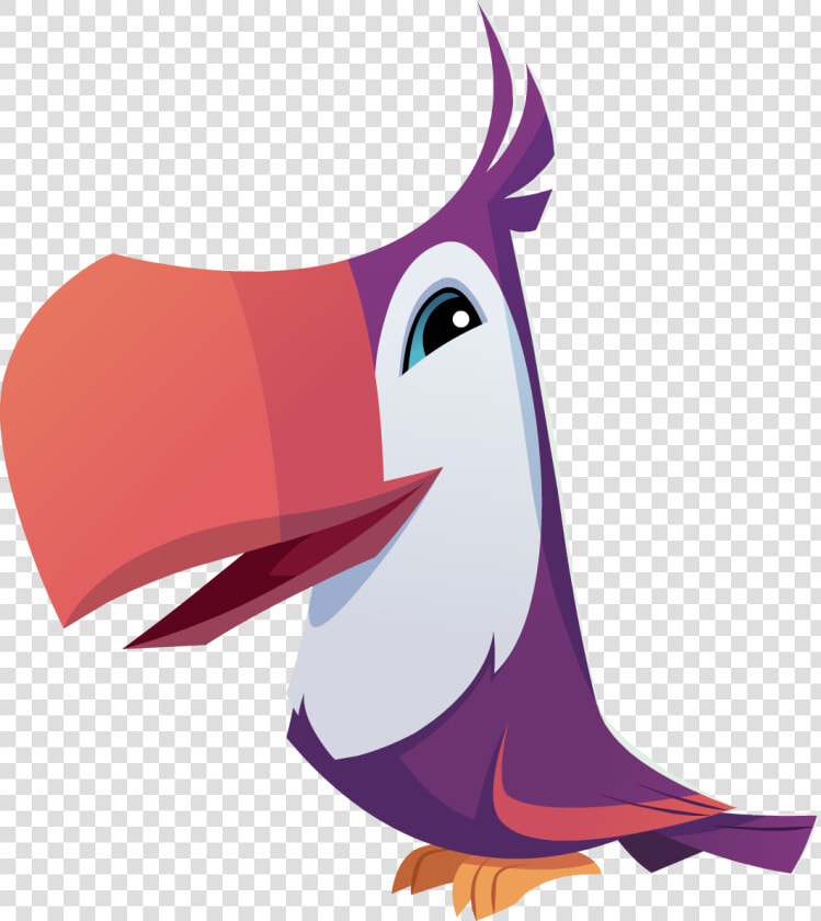 Toucan Clipart Real Animal   Animal Jam Toucan Png  Transparent PngTransparent PNG
