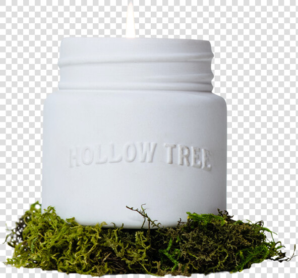 Library Of Trees   Tamaryokucha  HD Png DownloadTransparent PNG