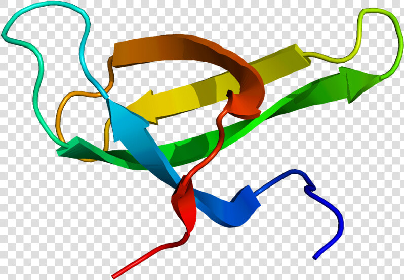 Protein Smn1 Pdb 1g5v   Survival Motor Neuron Protein  HD Png DownloadTransparent PNG