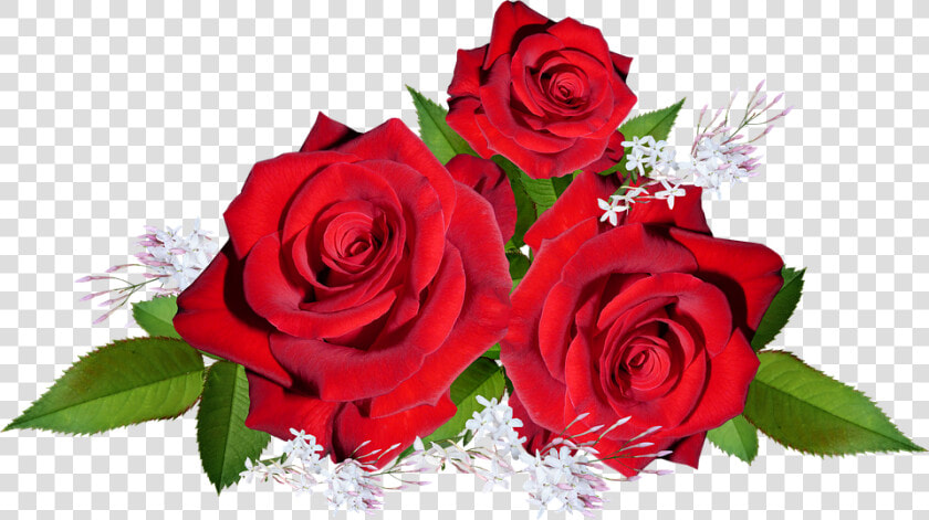 Roses  Red  Flowers  Jasmine  Arrangement  Garden   Gambar Bunga Mawar Dan Melati  HD Png DownloadTransparent PNG