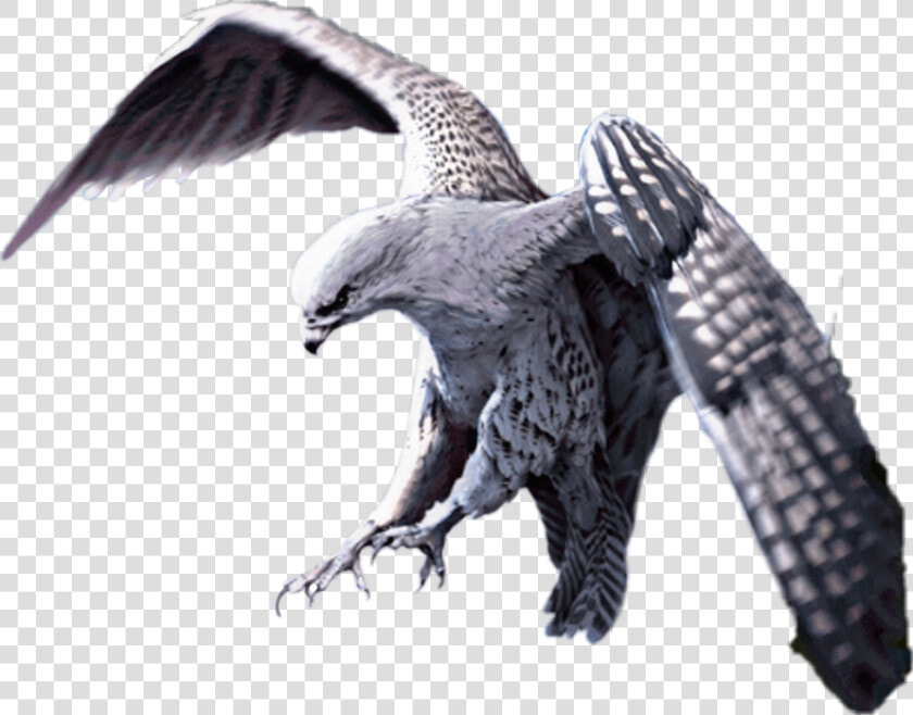  pubg J   N   Pubg Companion  HD Png DownloadTransparent PNG