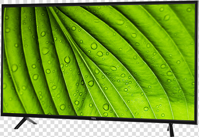 Tcl 49” Class D1 series Led Hdtv   Tcl 1 Series  HD Png DownloadTransparent PNG