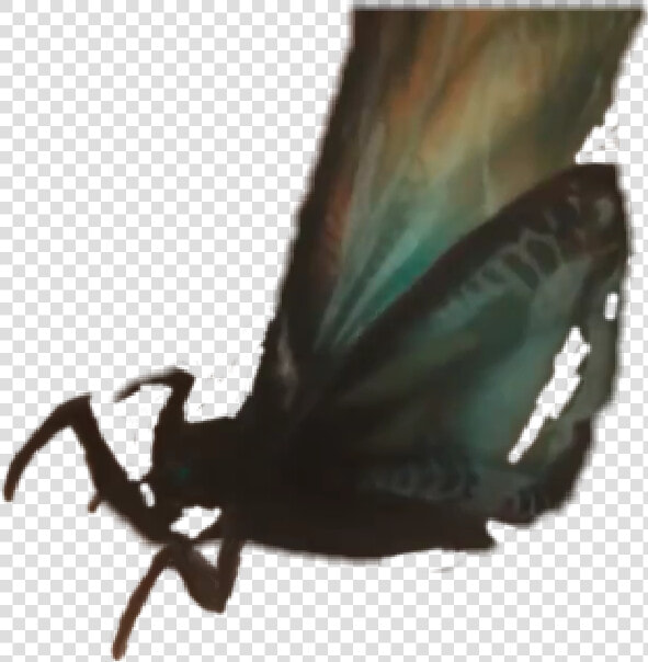  mothra   Brush footed Butterfly  HD Png DownloadTransparent PNG