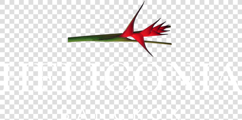 Heliconia Logo White   Heliconia  HD Png DownloadTransparent PNG