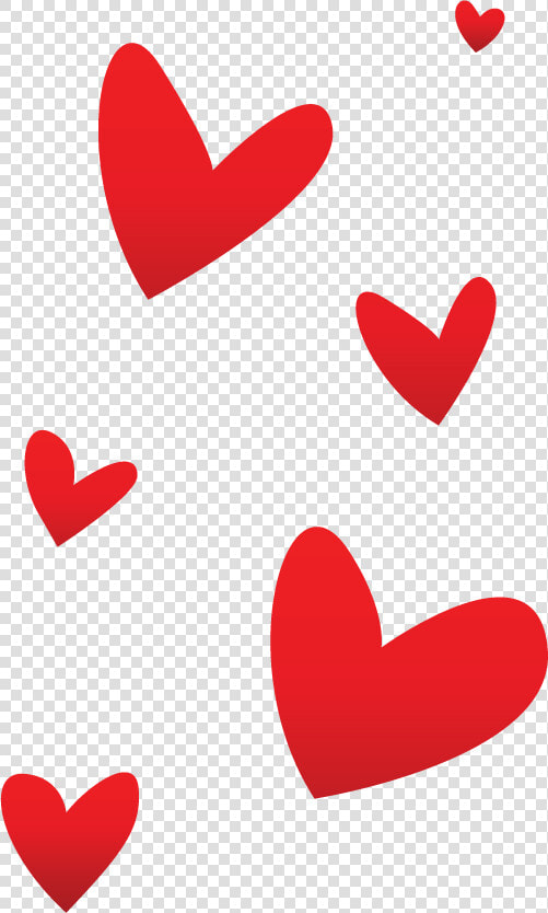 Photograph  HD Png DownloadTransparent PNG