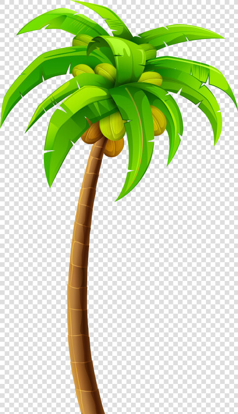 Palm Png Clip Art   Palm Trees Png Clipart  Transparent PngTransparent PNG