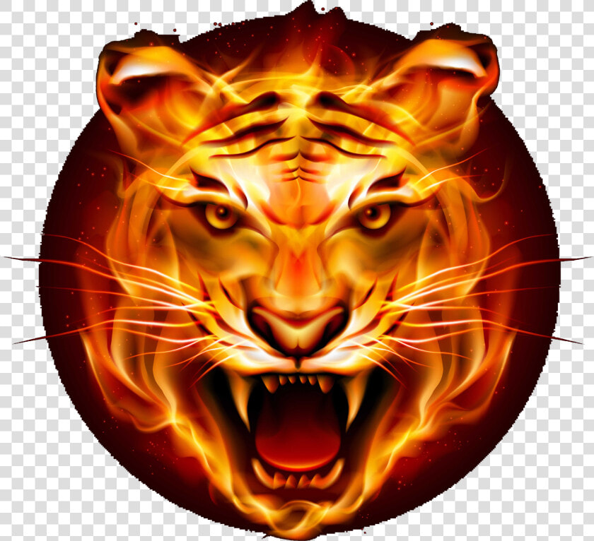 Tiger Png Logo   Tiger Png  Transparent PngTransparent PNG