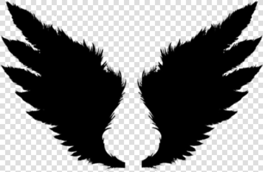  devil  wings  freetoedit  picsart   Wings Editing  HD Png DownloadTransparent PNG