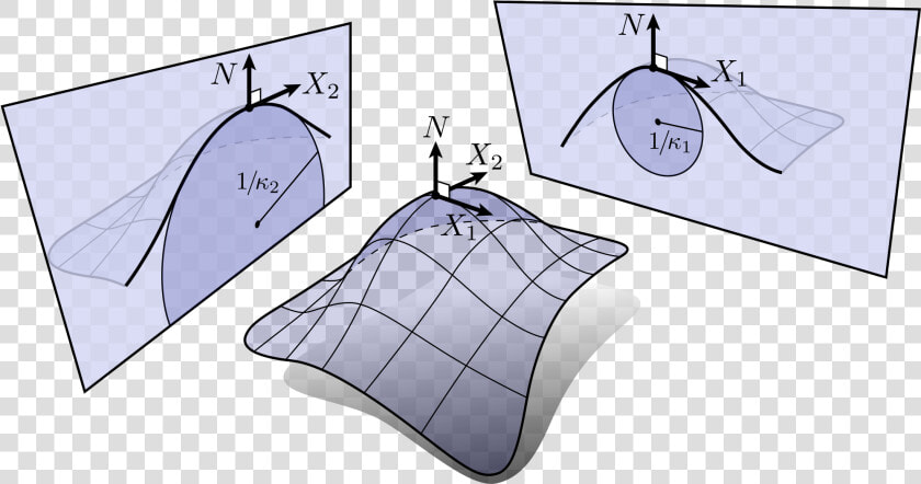Enter Image Description Here   Curvature Principal Directions  HD Png DownloadTransparent PNG