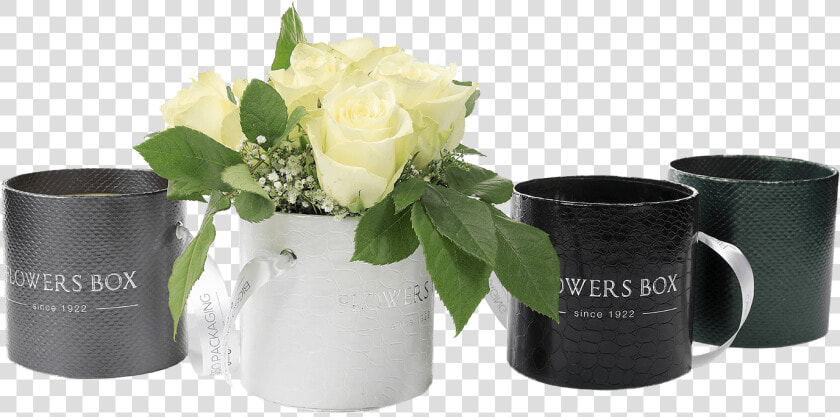 Tube Flower Box   Garden Roses  HD Png DownloadTransparent PNG