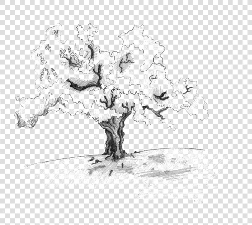 Sketch   Png Download   Sketch  Transparent PngTransparent PNG