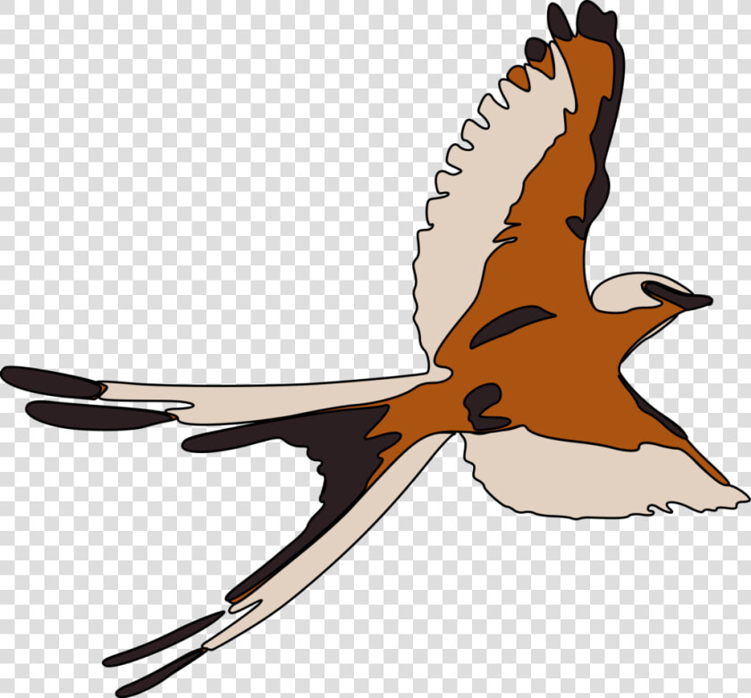 Ostrich Clip Art   Gambar Burung Terbang Png  Transparent PngTransparent PNG