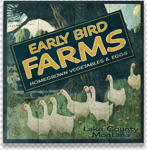 Early Bird Png  Transparent PngTransparent PNG