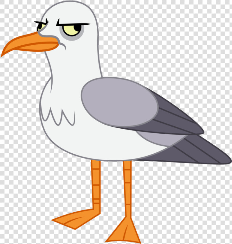 Seagull Illustration Png   Seagull Clipart  Transparent PngTransparent PNG