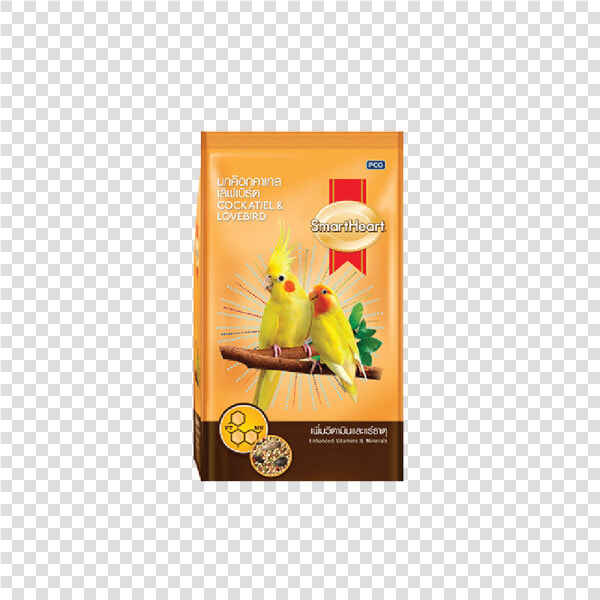 Smart Heart Cockatiel  HD Png DownloadTransparent PNG