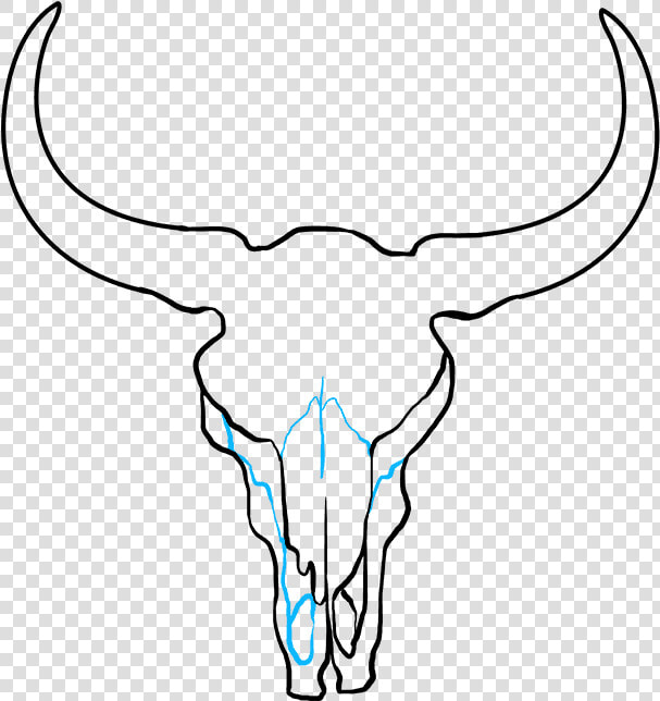 How To Draw Bull Skull   Bull Skull Drawing Step By Step  HD Png DownloadTransparent PNG