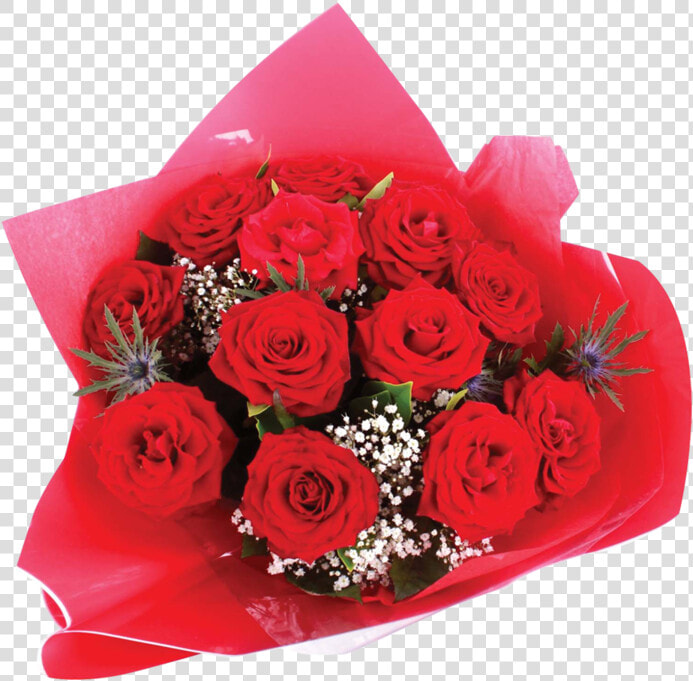 Floribunda  HD Png DownloadTransparent PNG