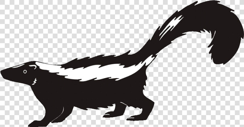Skunk Clipart Transparent   Transparent Skunk Clipart  HD Png DownloadTransparent PNG