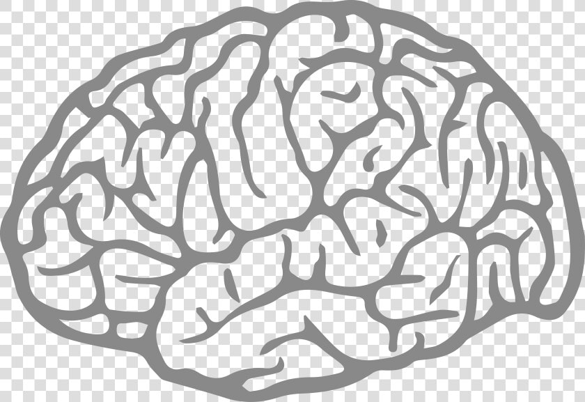 Brain Agy Fatigue   Cerebro Vetor Png  Transparent PngTransparent PNG