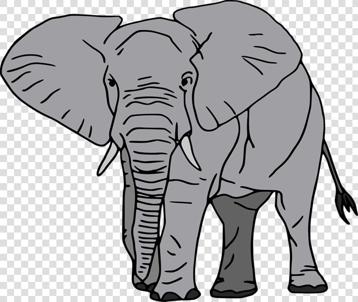 African Forest Elephant Cartoon  HD Png DownloadTransparent PNG