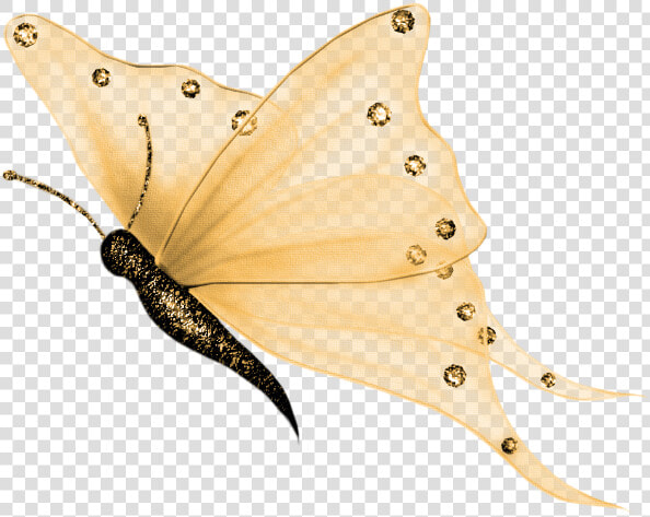 Translucent Butterflies Transparent Background  HD Png DownloadTransparent PNG