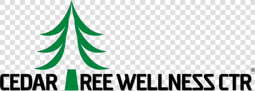 Cedar Tree Graphic  HD Png DownloadTransparent PNG
