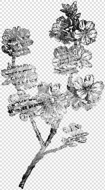 Vintage Flower Png Black And White   Vintage Flower Black And White Png  Transparent PngTransparent PNG