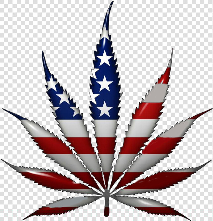 Weed Leaf  Powerful Reasons Legalize Marijuana The   Usa Marijuana Leaf  HD Png DownloadTransparent PNG