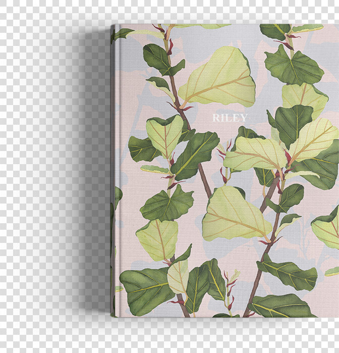 Picture Of Fiddle Leaf Fig Journal  HD Png DownloadTransparent PNG