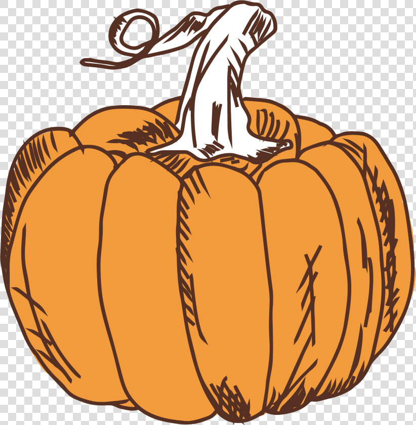 Field Clipart Pumpkin Field   Pumpkin  HD Png DownloadTransparent PNG