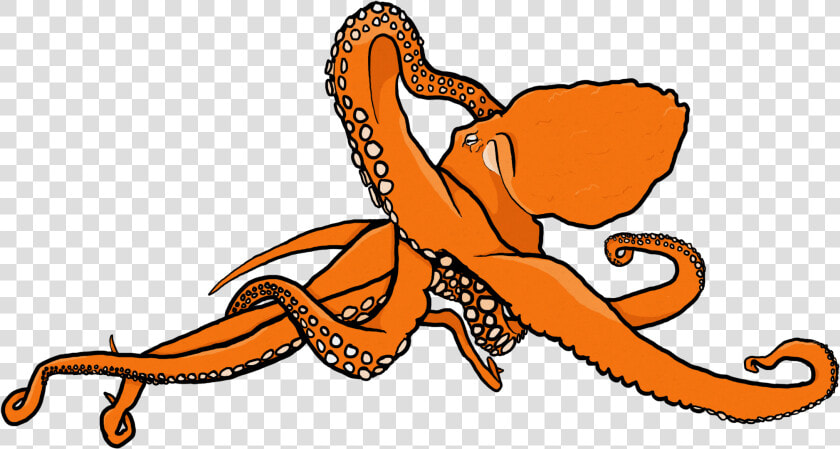 Organism Clipart   Png Download  Transparent PngTransparent PNG