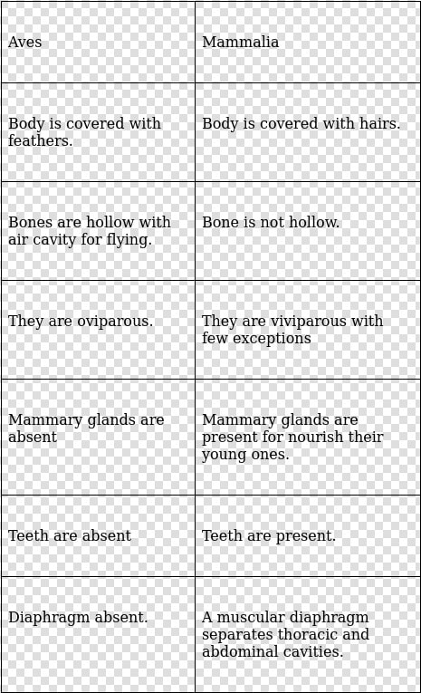 Document  HD Png DownloadTransparent PNG