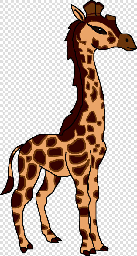 Rothschild S Giraffe   Giraffe  HD Png DownloadTransparent PNG