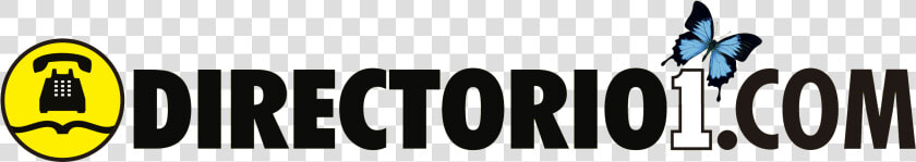 Directo  HD Png DownloadTransparent PNG